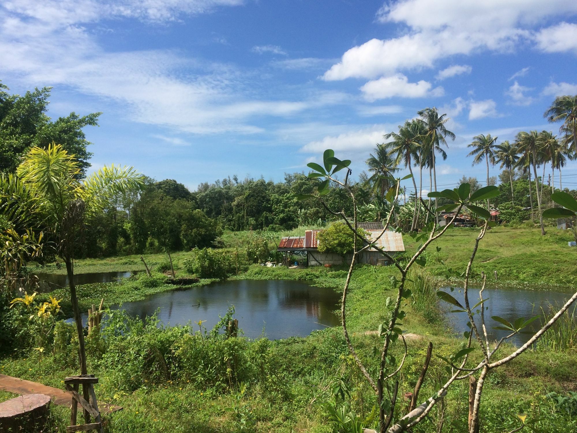 Krabilife Resort Ban Ko Kwang Extérieur photo